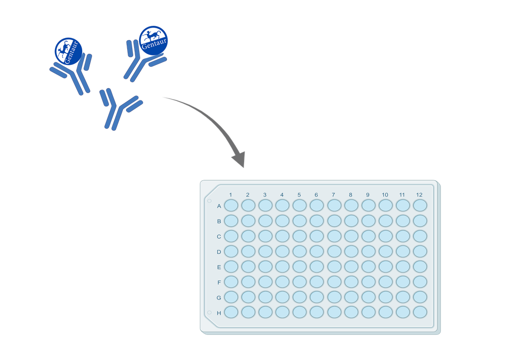 ELISA   3C-like Proteinase|3CLPro