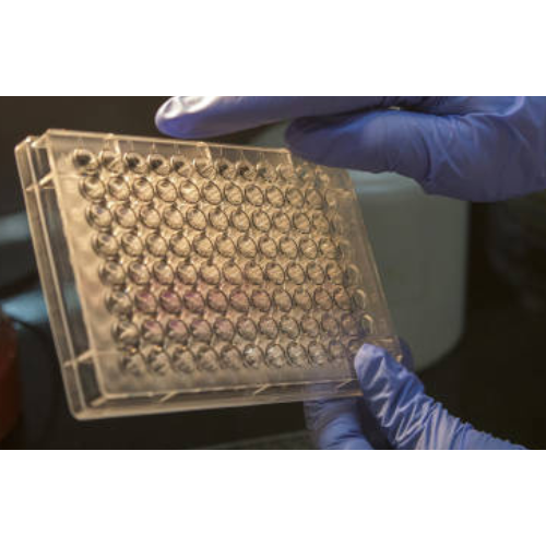 ELISA  ADIPOQ Antibody, FITC  