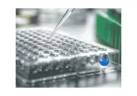 ELISA  AKAP11 anti-