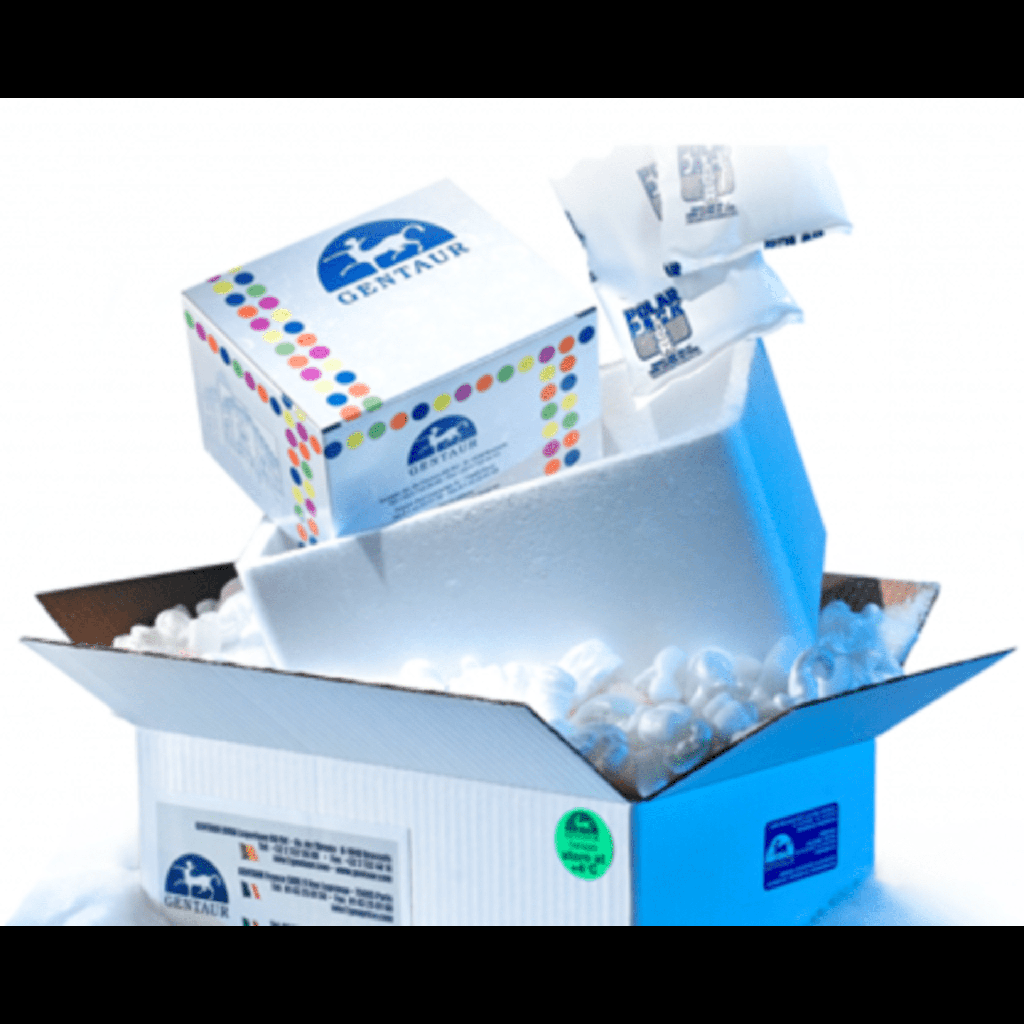 ELISA kit for Human Cytochrome P450 4Z1 (CYP4Z1) - 96 Tests