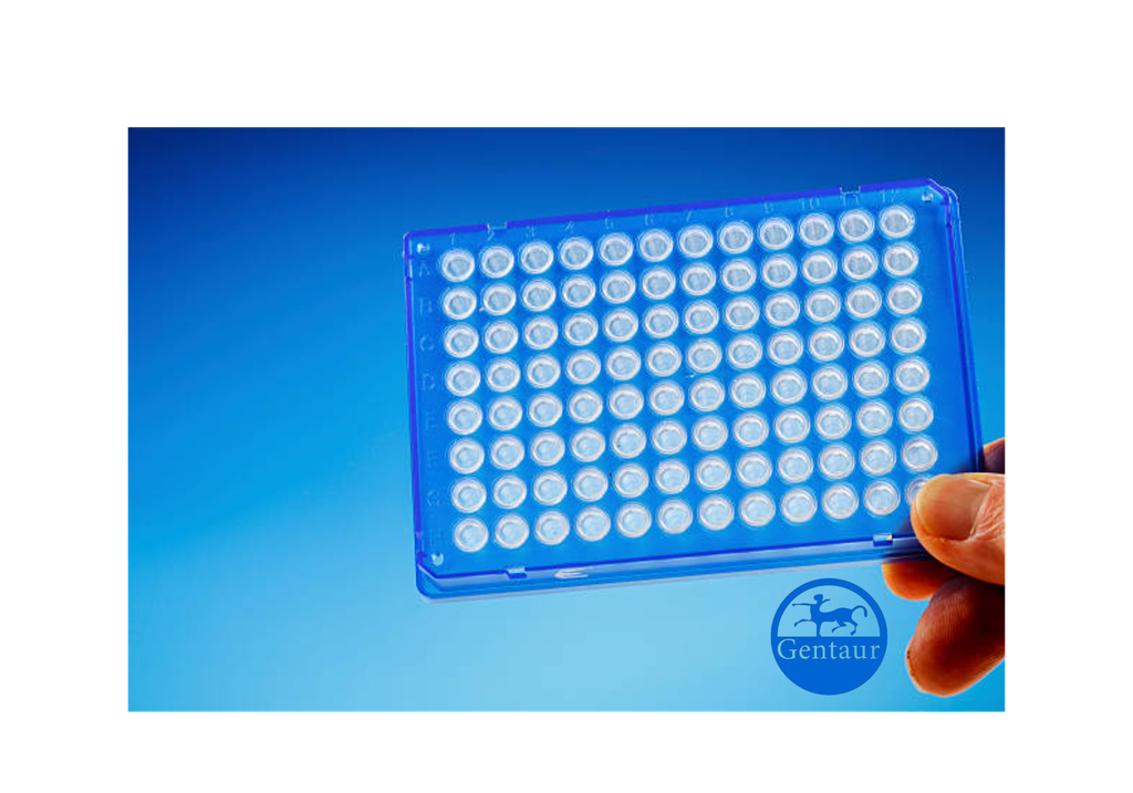 ELISA   ABCB5 Antibody, FITC  