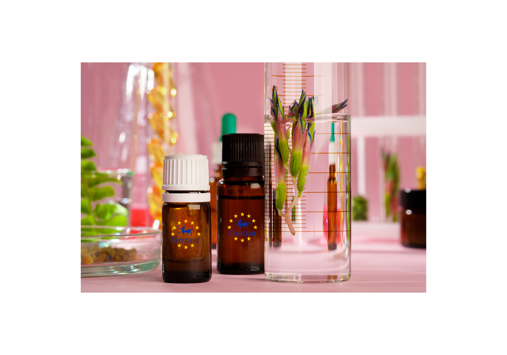 Activin B Human Plant-Active