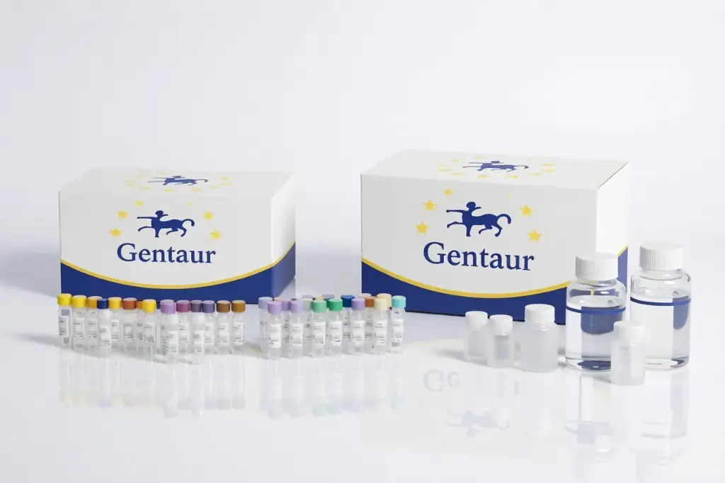 [K0333064-sf] Rabbit IL-1 beta/IL-1F2 ELISA Kit